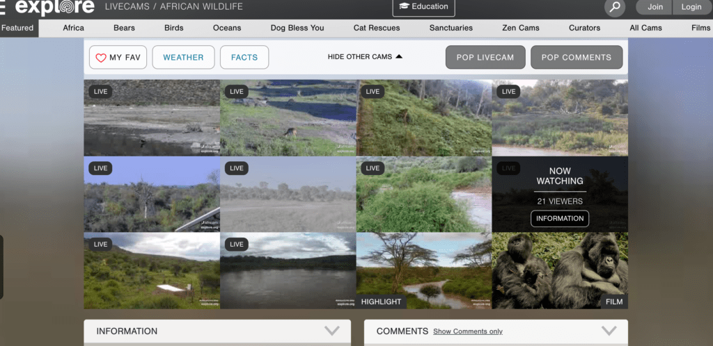 übersicht Webcams Online Safari
