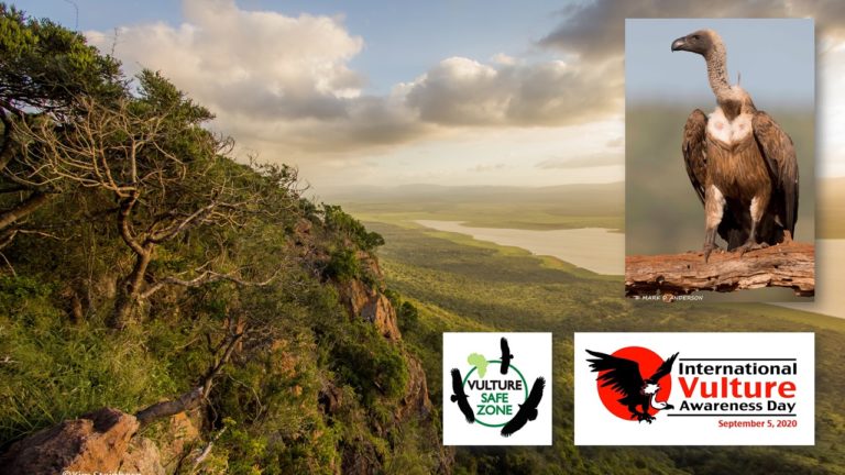 Zululand Zone for Vultures